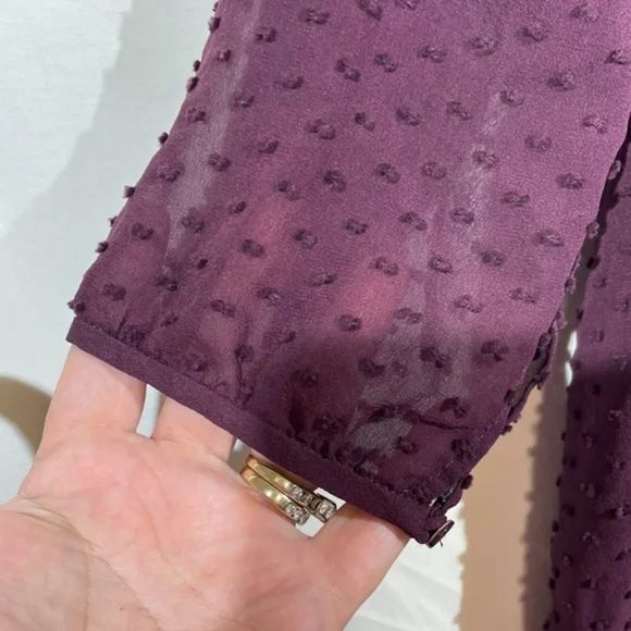 Aritzia Babaton Womens Silk Blend Blouse V-Neck Swiss Dot 3/4 Sleeve Size XS - Picture 12 of 12